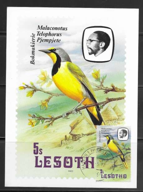 Lesotho - Birds - Maxi Card