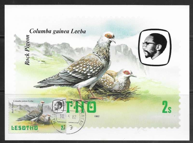 Lesotho - Birds - Maxi Card