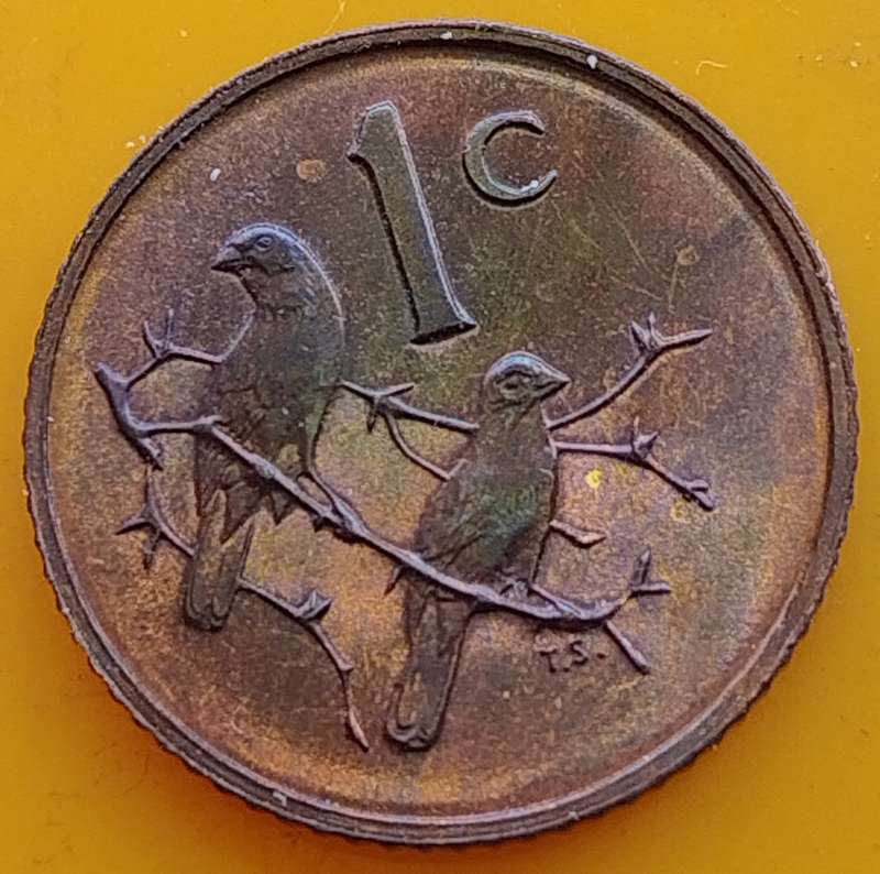 1975   1c   COIN  RSA                    SUN15515