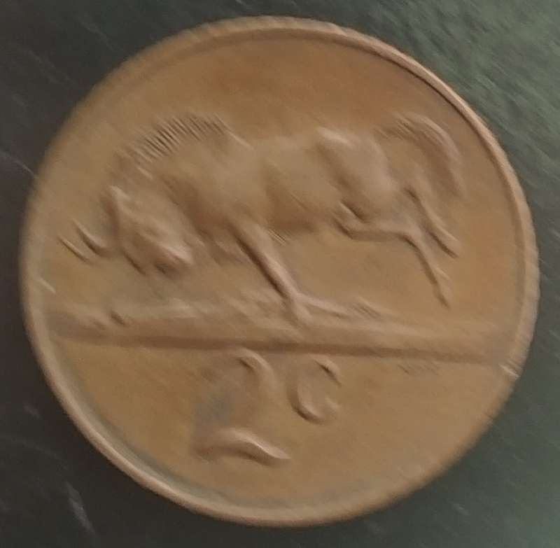 1965   2c   COIN   (Afrikaans)       SUN16489