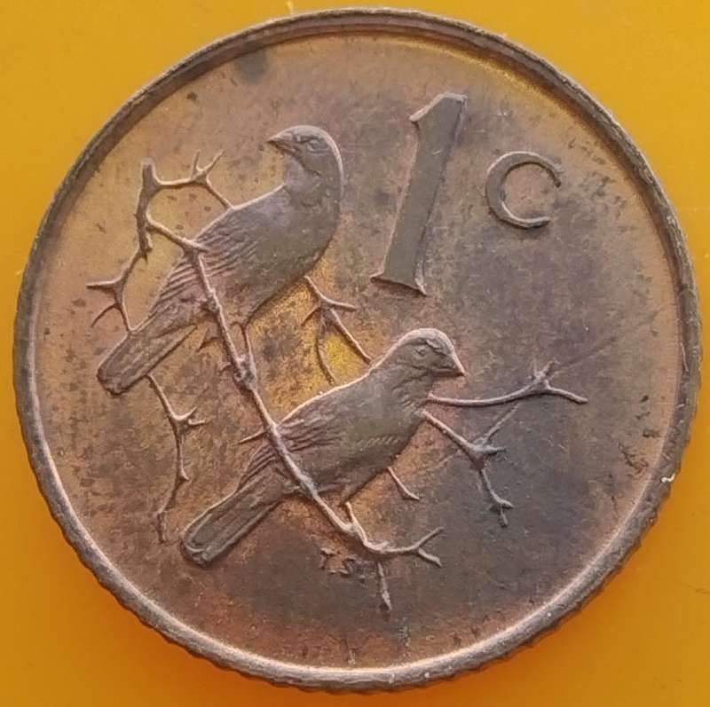 1966   1c   COIN   (Afrikaans)       SUN16654