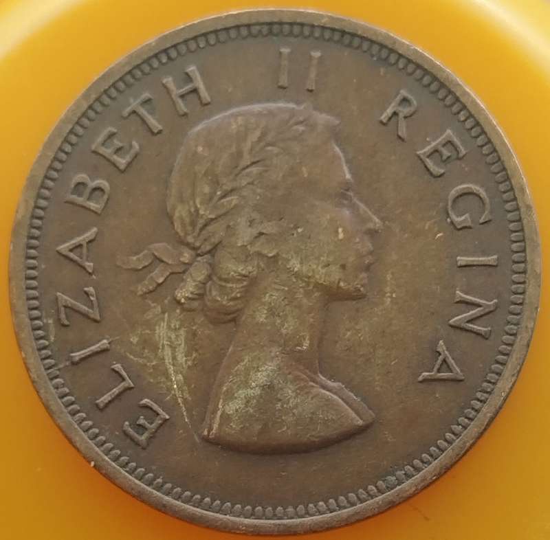 1955     PENNY  COIN        SA                       SUN16664
