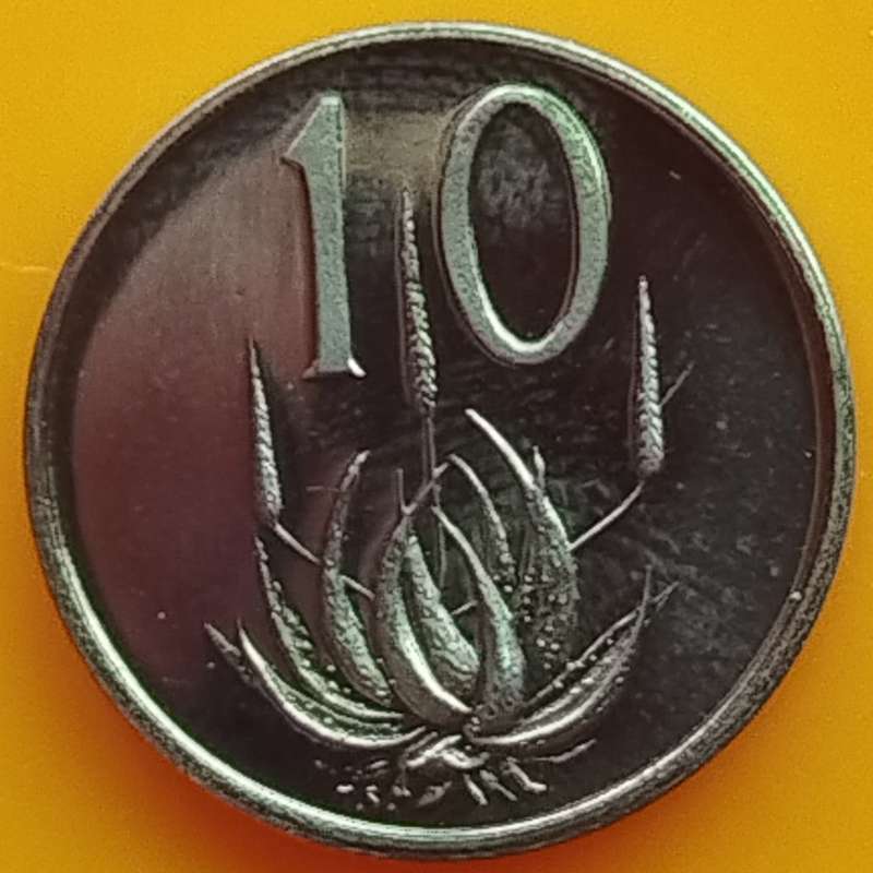 1980   10c   COIN  RSA                    SUN16955