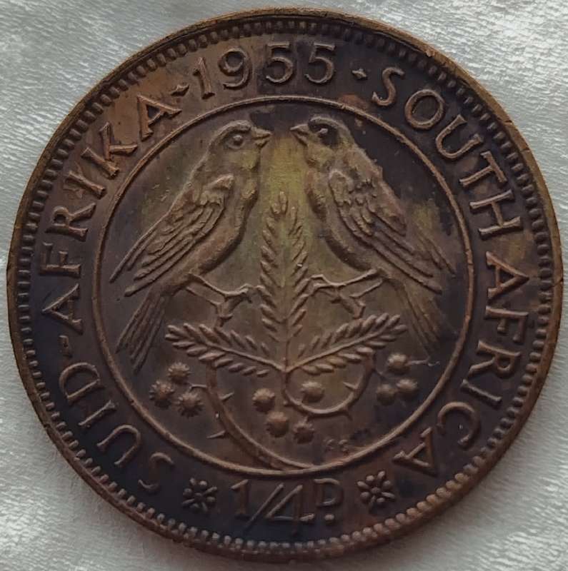 1955      QUARTER  PENNY  COIN        SA                       SUN17291