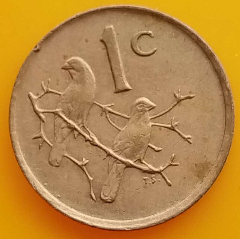 1989    1c    COIN      RSA            17380