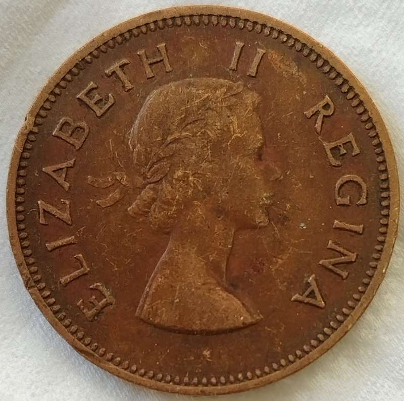 1955     HALF PENNY  COIN        SA                       SUN17437