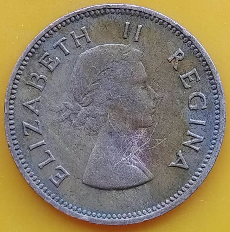 1955     HALF PENNY  COIN        SA                       SUN17491