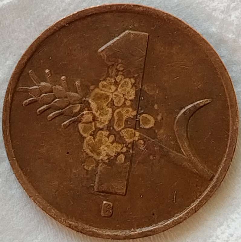 1948     1 Rappen wheat spike COIN      Switzerland       SUN17507