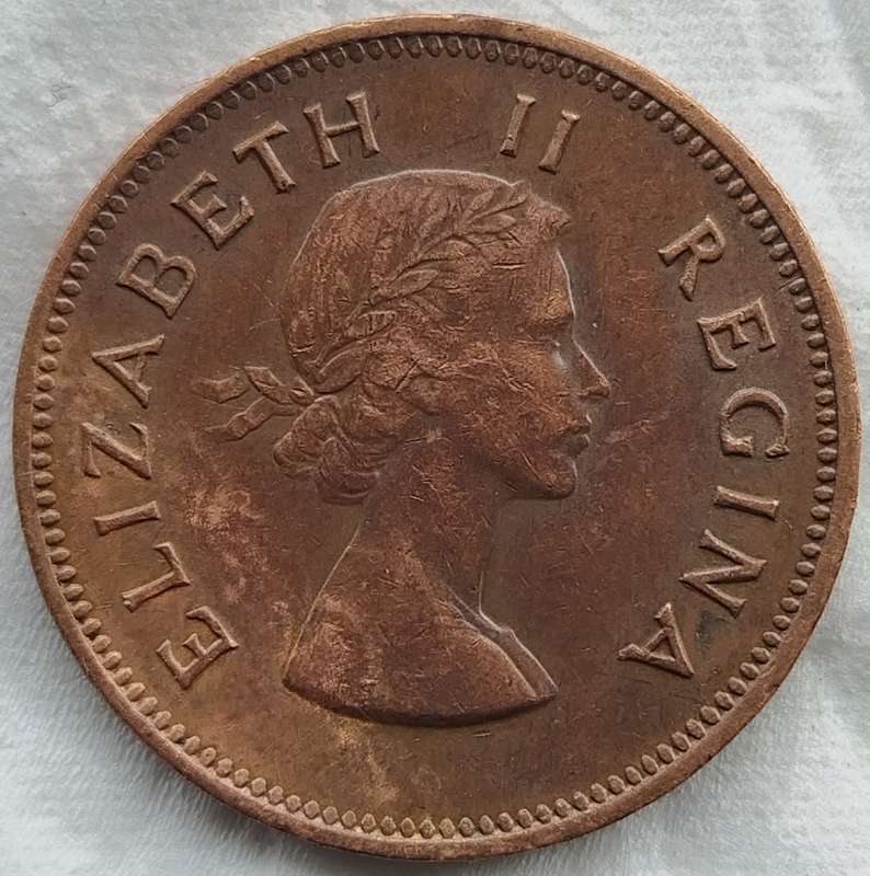 1955   HALF PENNY  COIN        SA                       SUN17534