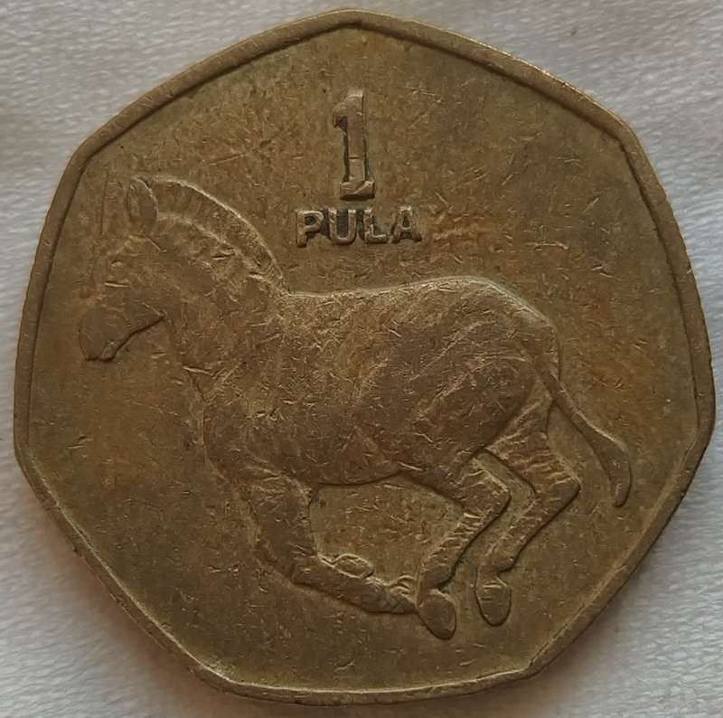 1991   1 PULA COIN       BOTSWANA                       SUN17741