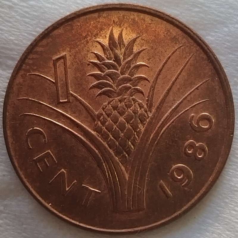 1986   1 CENT COIN       SWAZILAND                      SUN17789