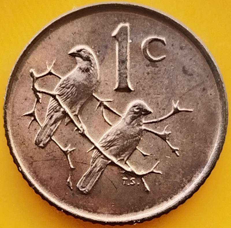 1966   1c   COIN   (Afrikaans)       SUN18108