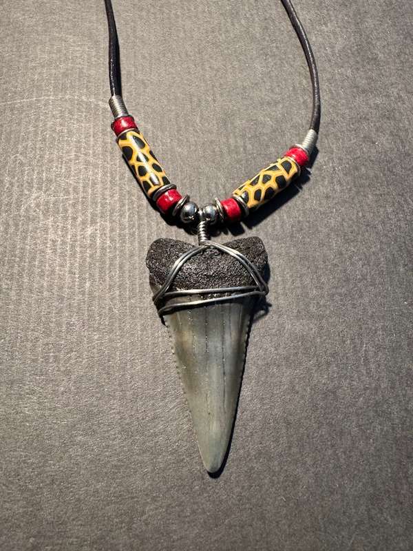 Great White FOSSIL SHARK TOOTH PENDANT NECKLACE 52 mm large size