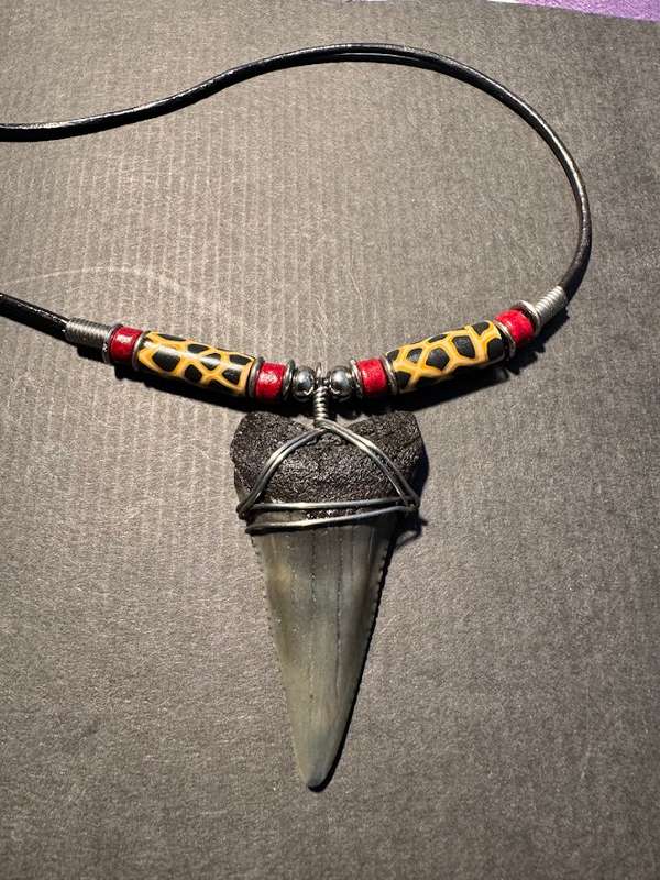 Great White FOSSIL SHARK TOOTH PENDANT NECKLACE 52 mm large size