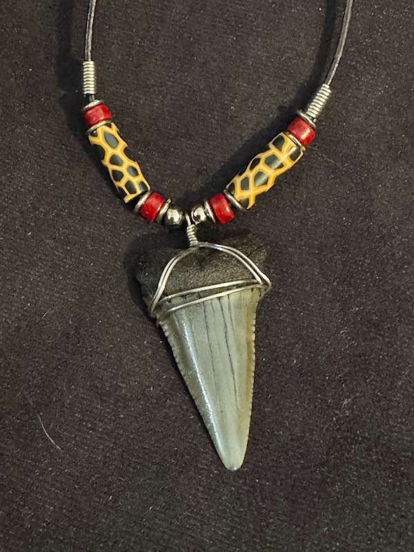 Great White FOSSIL SHARK TOOTH PENDANT NECKLACE 52 mm large size