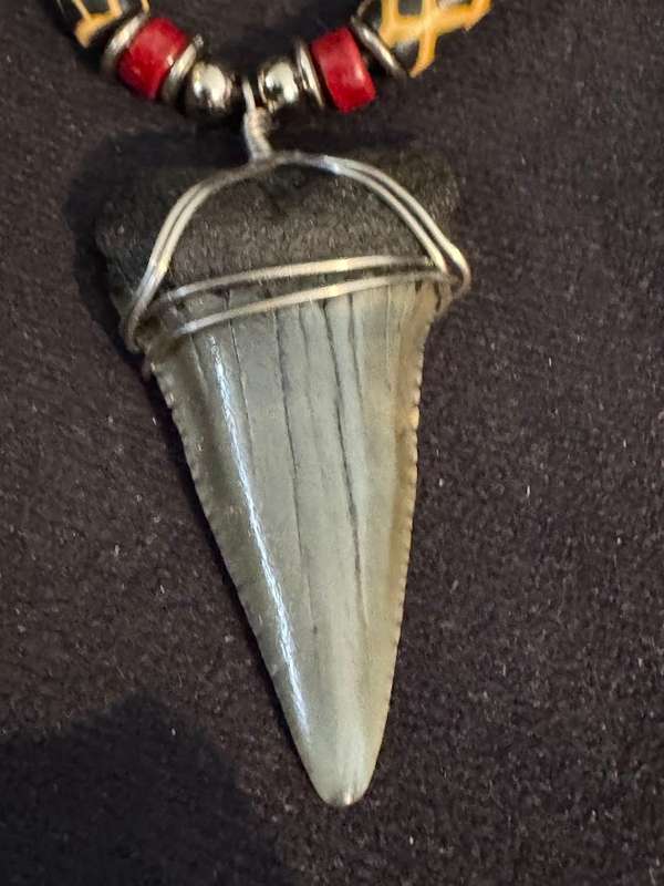 Great White FOSSIL SHARK TOOTH PENDANT NECKLACE 52 mm large size