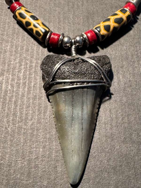 Great White FOSSIL SHARK TOOTH PENDANT NECKLACE 52 mm large size