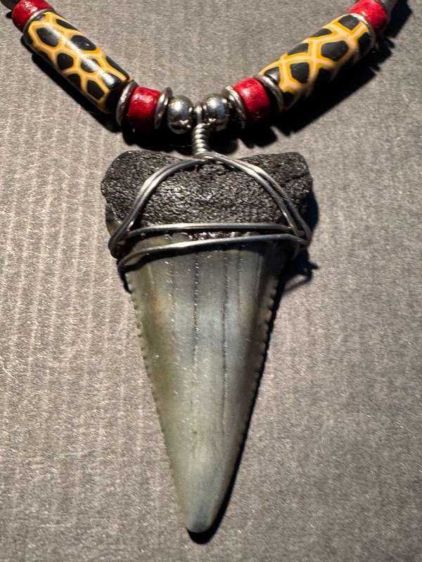 Great White FOSSIL SHARK TOOTH PENDANT NECKLACE 52 mm large size