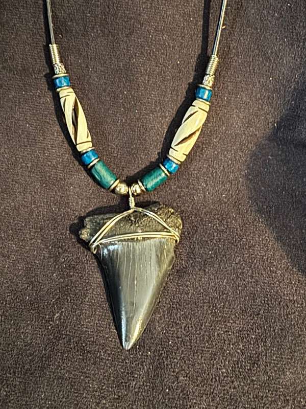 Mako FOSSIL SHARK TOOTH PENDANT NECKLACE