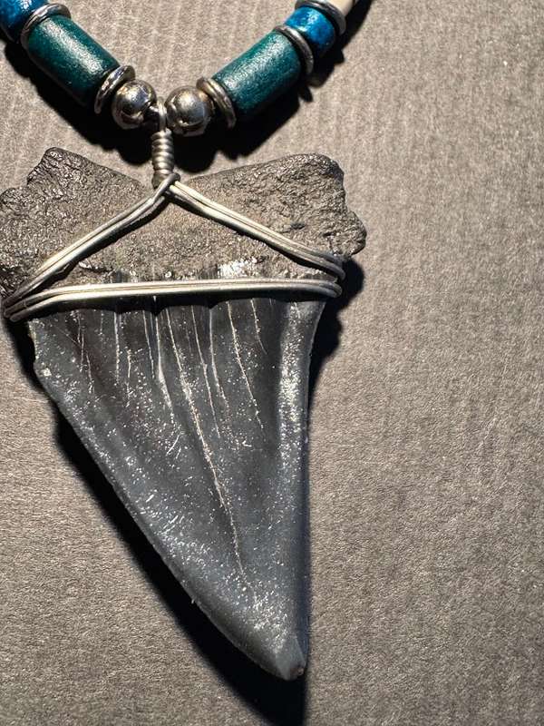 Mako FOSSIL SHARK TOOTH PENDANT NECKLACE