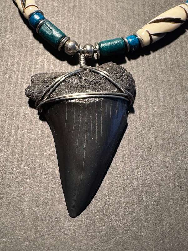 Mako FOSSIL SHARK TOOTH PENDANT NECKLACE
