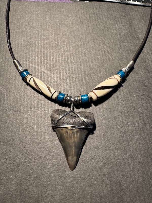 Fossil Shark Tooth Pendant Necklace 33mm Large Size