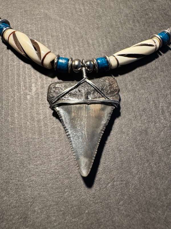 Fossil Shark Tooth Pendant Necklace 33mm Large Size