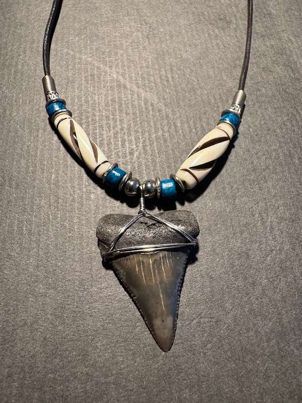Fossil Shark Tooth Pendant Necklace 33mm Large Size