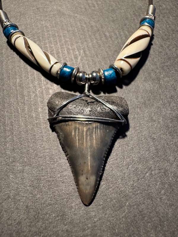 Fossil Shark Tooth Pendant Necklace 33mm Large Size