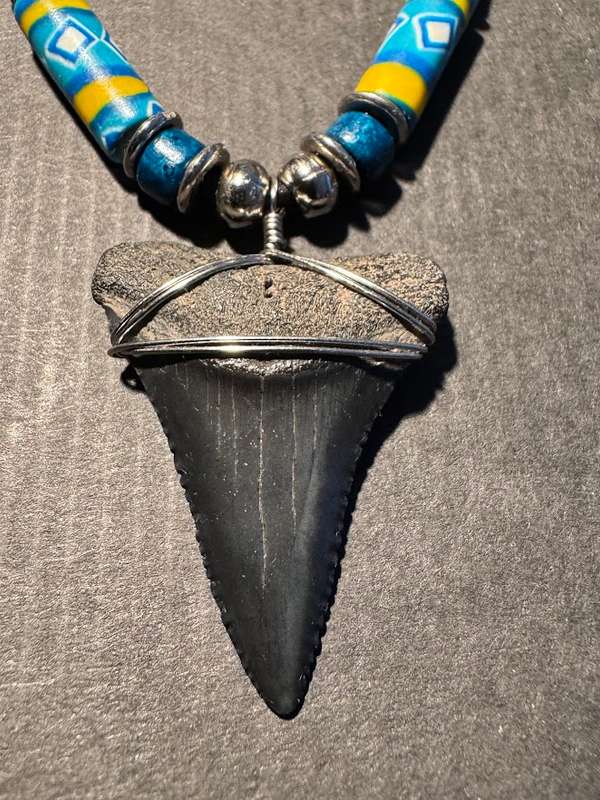 Great White FOSSIL SHARK TOOTH PENDANT NECKLACE 34 mm large size
