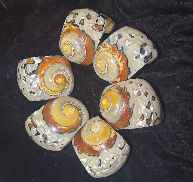Ocean series Seashell Napkin Rings for  Home Table Decoration