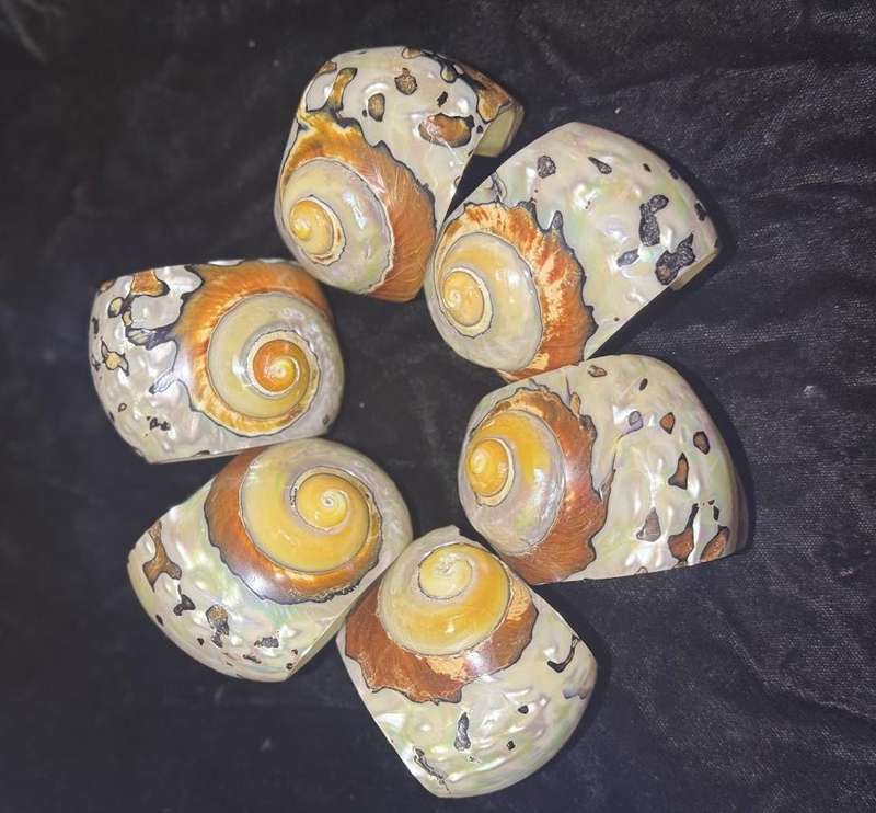 Ocean series Seashell Napkin Rings for  Home Table Decoration