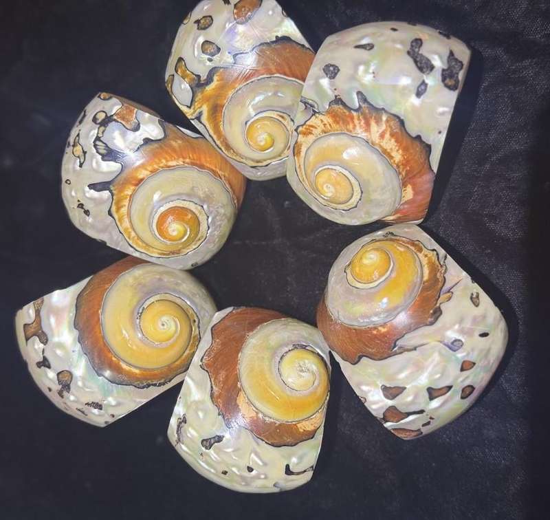 Ocean series Seashell Napkin Rings for  Home Table Decoration