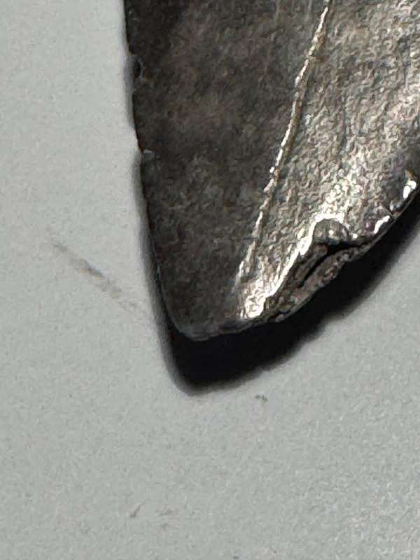 Fossil shark tooth Carcharodon Megalodon Great white Shark. 7 cm Authentic