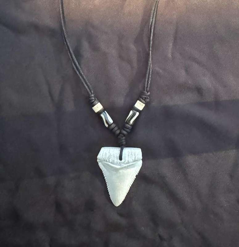 Great White SHARK TOOTH PENDANT NECKLACE Replica
