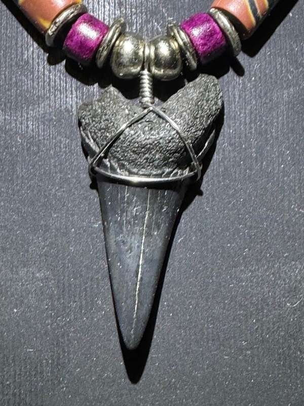 Mako FOSSIL SHARK TOOTH PENDANT NECKLACE