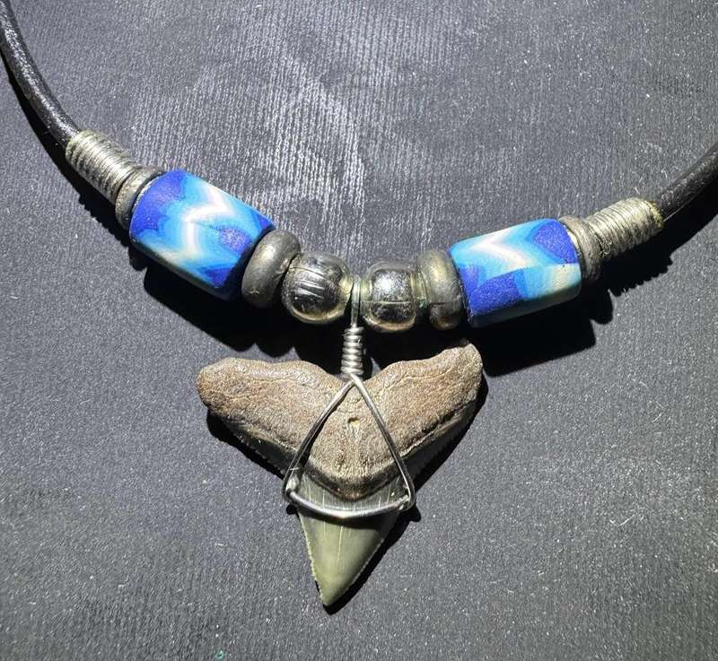 Zambezi Bull Shark FOSSIL SHARK TOOTH PENDANT NECKLACE