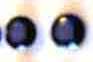 0.31 ct. Genuine Blue Sapphires , 2 pieces 3.00mm round
