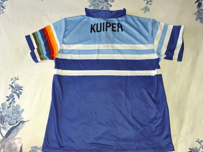 Western Province style cricket shirt.