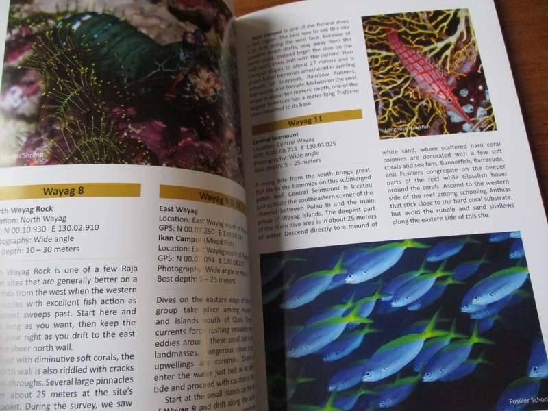 Diving Indonesia's Raja Ampat Burt Jones & Maurine Shimlock