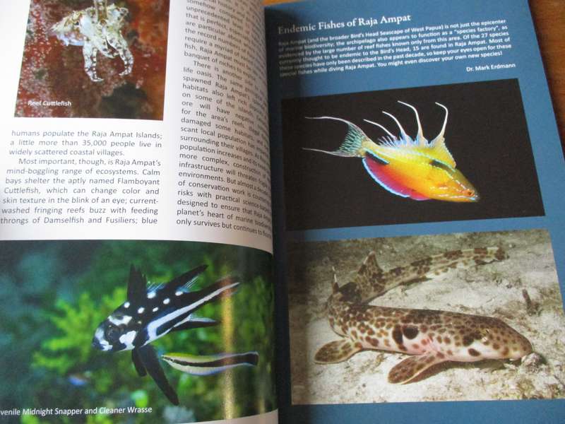 Diving Indonesia's Raja Ampat Burt Jones & Maurine Shimlock