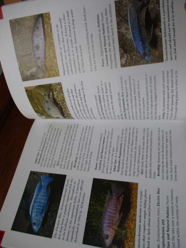 Lake Malawi Cichlids  Mark P. Smith