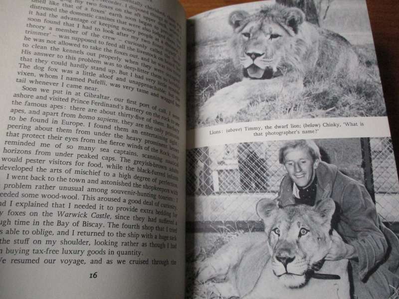 Okavango Adventure in search of animals in Southern Africa  Jeremy Mallinson
