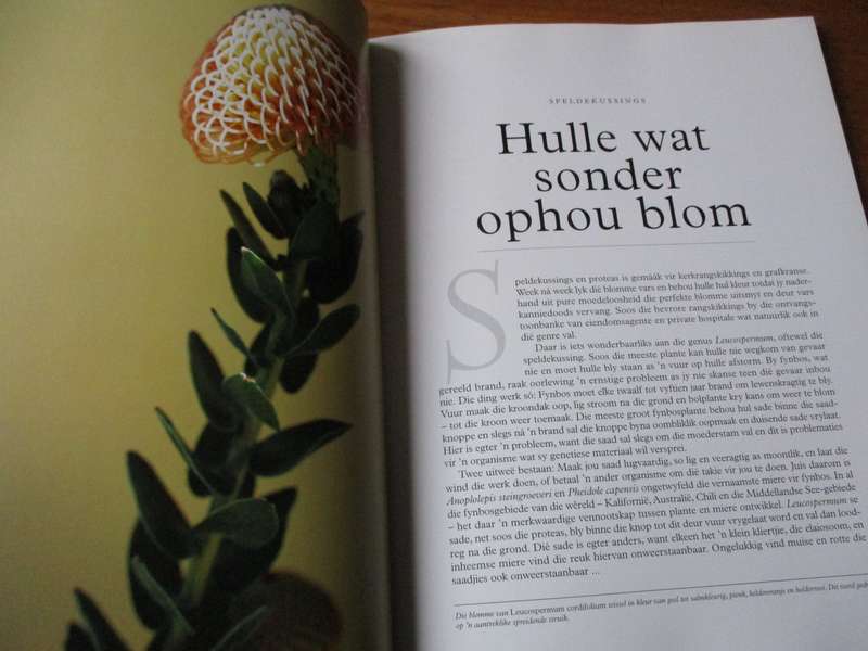 Immergroen  Stories oor plante  David Pepler Foto's deur Lien Botha