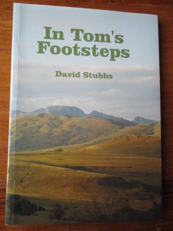 In Tom's Footsteps  David Stubbs