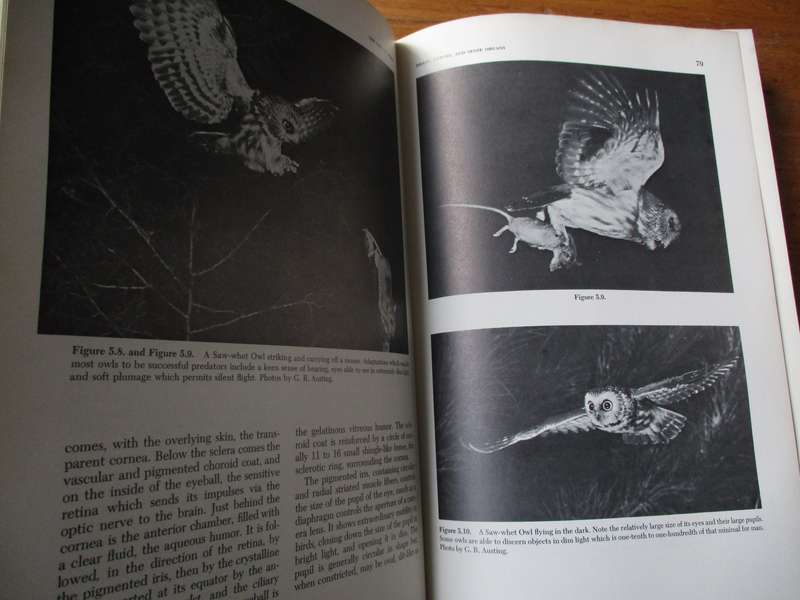 The Life of Birds a Comprehensive Survey by Joel Carl Welty