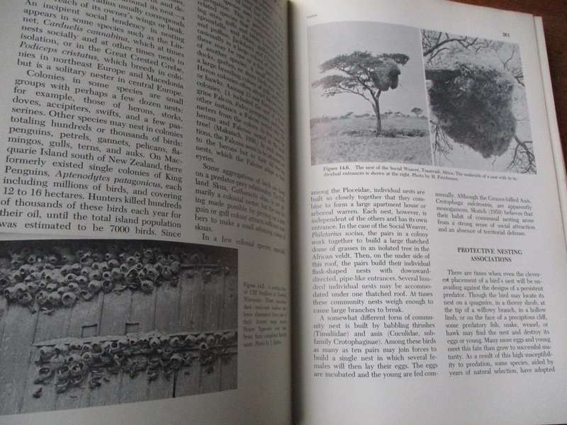 The Life of Birds a Comprehensive Survey by Joel Carl Welty