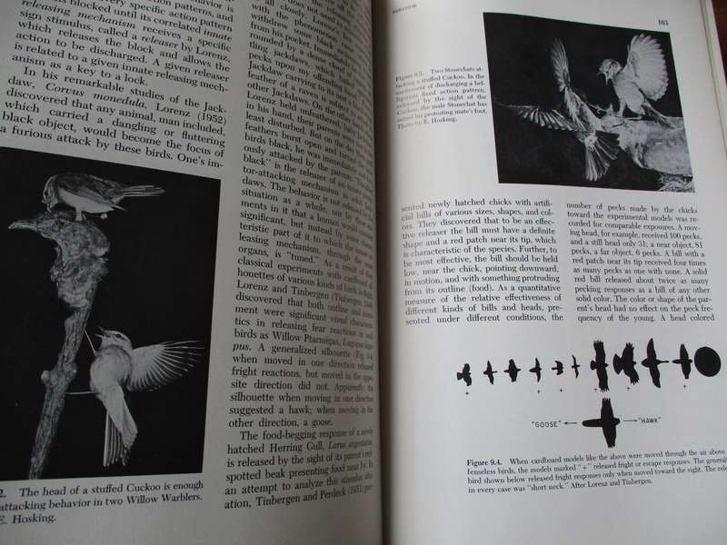The Life of Birds a Comprehensive Survey by Joel Carl Welty