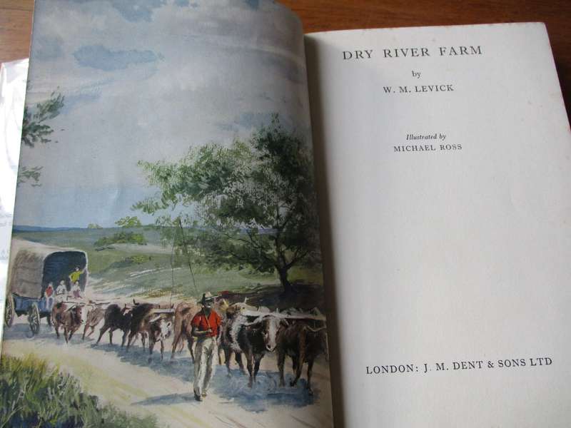 DRY RIVE FARM  W.M. Levick  A realistic day-to-day story of a South African Orange Farm