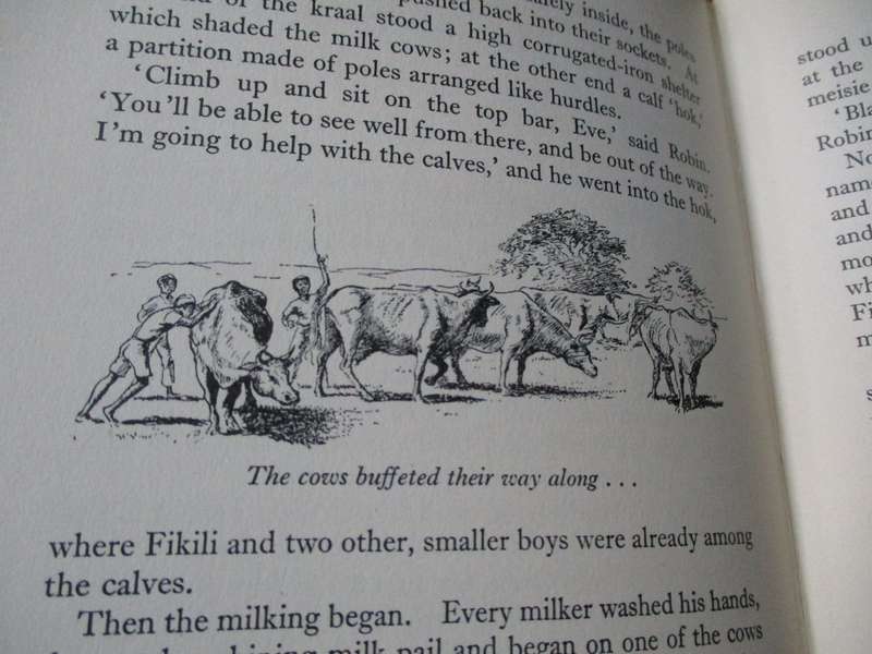 DRY RIVE FARM  W.M. Levick  A realistic day-to-day story of a South African Orange Farm